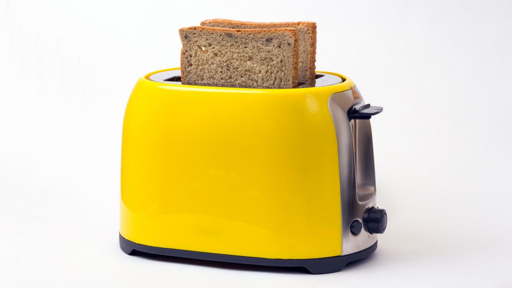 A tradition toaster - This is a straightforward example of an open loop control system.